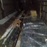 Трубы и листы для: Благоустройство лесопарковой зоны